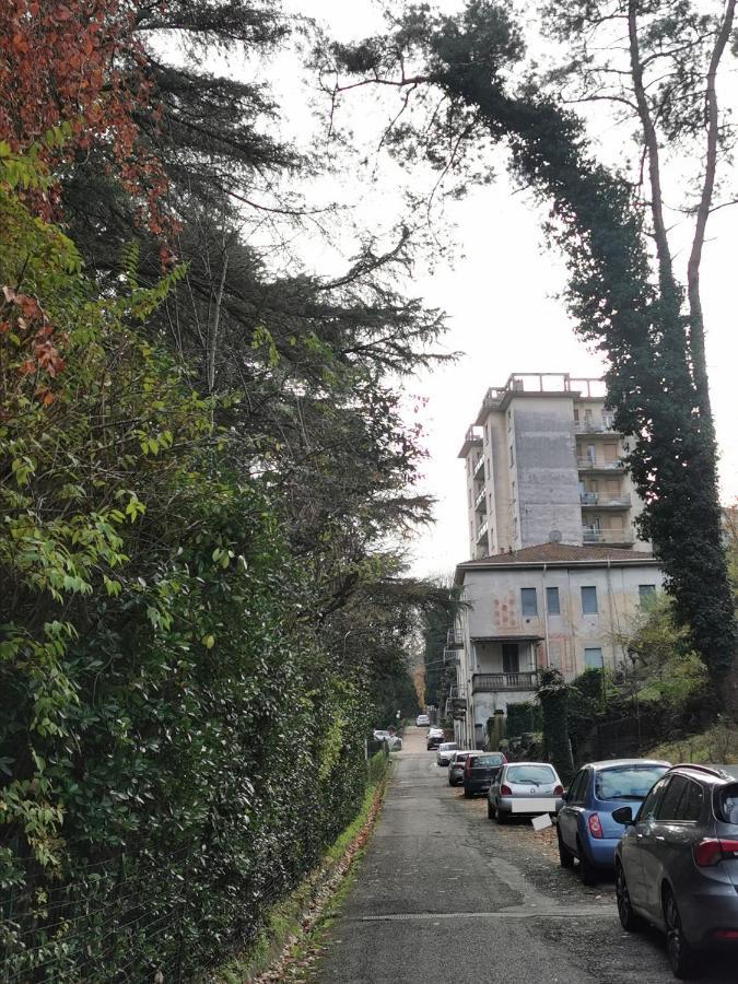 Lovely View Albizzate 外观 照片